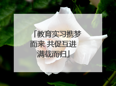 教育实习携梦而来 共促互进满载而归