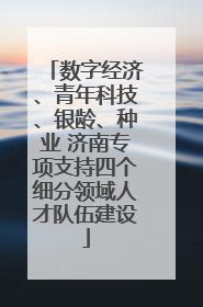 数字经济、青年科技、银龄、种业 济南专项支持四个细分领域人才队伍建设