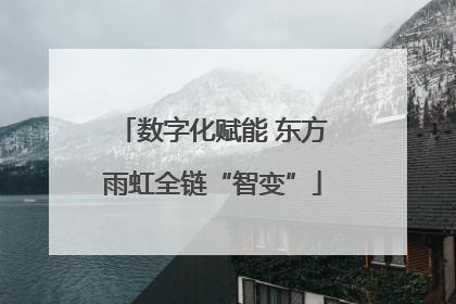 数字化赋能 东方雨虹全链“智变”