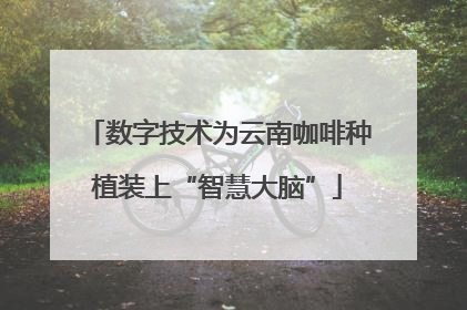 数字技术为云南咖啡种植装上“智慧大脑”
