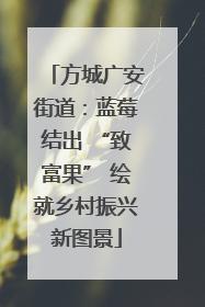 方城广安街道：蓝莓结出 “致富果” 绘就乡村振兴新图景