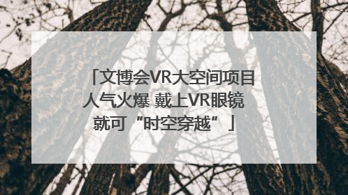 文博会VR大空间项目人气火爆 戴上VR眼镜就可“时空穿越”