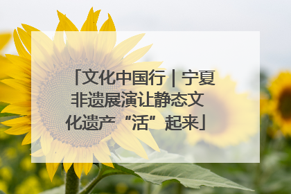 文化中国行｜宁夏 非遗展演让静态文化遗产“活”起来