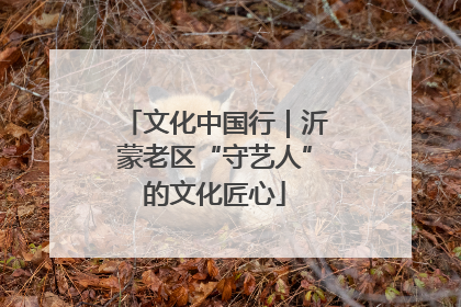 文化中国行｜沂蒙老区“守艺人”的文化匠心
