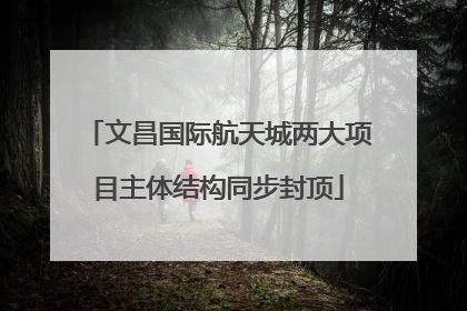 文昌国际航天城两大项目主体结构同步封顶