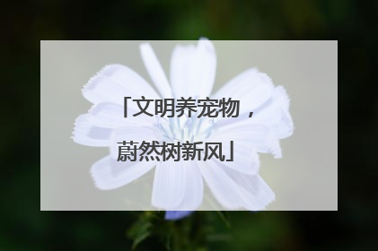 文明养宠物，蔚然树新风