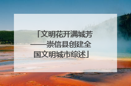 文明花开满城芳——崇信县创建全国文明城市综述