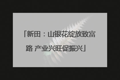 新田：山银花绽放致富路 产业兴旺促振兴