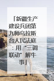 新疆生产建设兵团第九师乌拉斯台人民法庭：用“三调联动”解牛事