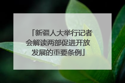 新疆人大举行记者会解读两部促进开放发展的重要条例