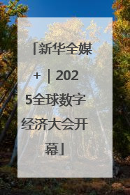 新华全媒+｜2025全球数字经济大会开幕