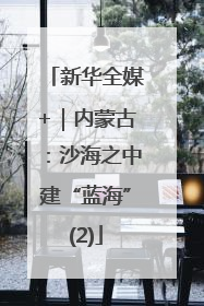 新华全媒+｜内蒙古：沙海之中建“蓝海”(2)