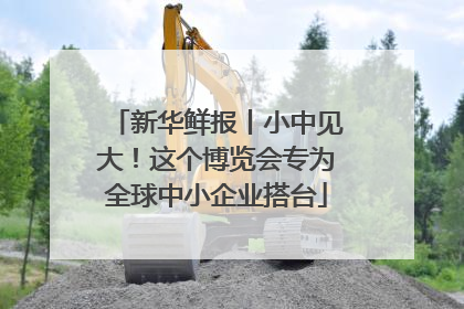 新华鲜报丨小中见大！这个博览会专为全球中小企业搭台