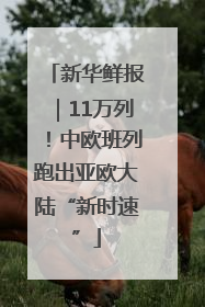 新华鲜报｜11万列！中欧班列跑出亚欧大陆“新时速”