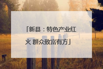 新县：特色产业红火 群众致富有方