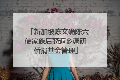 新加坡陈文确陈六使家族后裔返乡调研侨捐基金管理