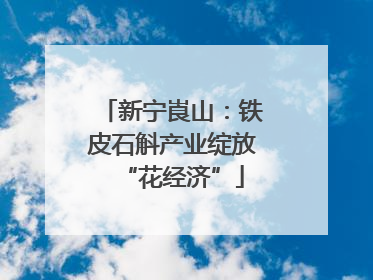 新宁崀山：铁皮石斛产业绽放“花经济”