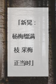 新晃：杨梅缀满枝 采梅正当时
