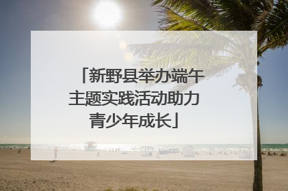 新野县举办端午主题实践活动助力青少年成长