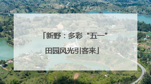 新野：多彩“五一” 田园风光引客来
