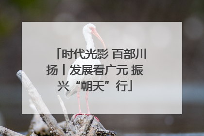 时代光影 百部川扬丨发展看广元 振兴“朝天”行