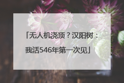 无人机浇顶？汉阳树：我活546年第一次见