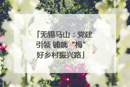 无锡马山：党建引领 铺就“梅”好乡村振兴路
