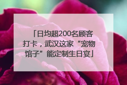 日均超200名顾客打卡，武汉这家“宠物馆子”能定制生日宴
