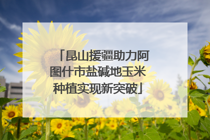 昆山援疆助力阿图什市盐碱地玉米种植实现新突破