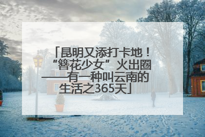 昆明又添打卡地！“簪花少女”火出圈——有一种叫云南的生活之365天