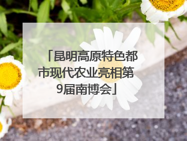 昆明高原特色都市现代农业亮相第9届南博会