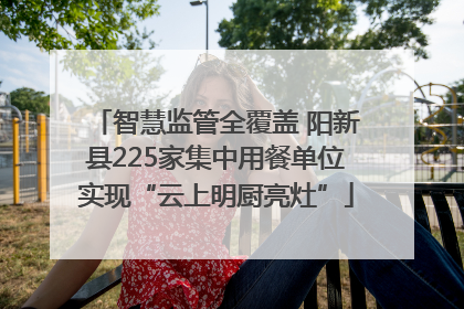 智慧监管全覆盖 阳新县225家集中用餐单位实现“云上明厨亮灶”