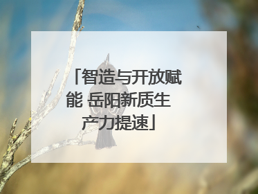 智造与开放赋能 岳阳新质生产力提速