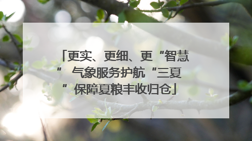 更实、更细、更“智慧” 气象服务护航“三夏”保障夏粮丰收归仓
