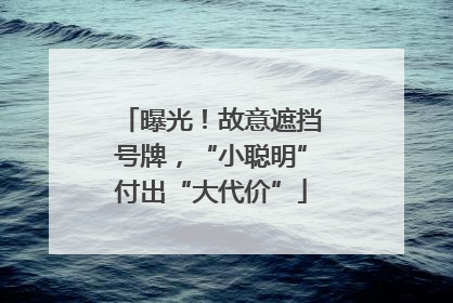 曝光！故意遮挡号牌，“小聪明”付出“大代价”