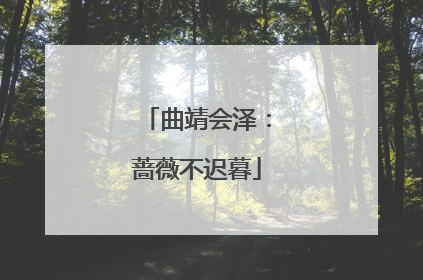 曲靖会泽：蔷薇不迟暮
