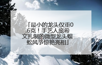 最小的龙头仅重0.6克！手艺人庞希文扎制的微型龙头蜈蚣风筝惊艳亮相