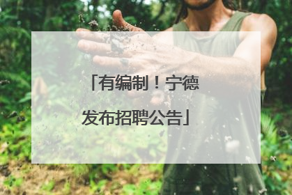 有编制！宁德发布招聘公告
