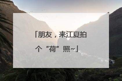 朋友，来江夏拍个“荷”照~