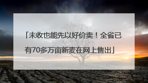 未收也能先以好价卖！全省已有70多万亩新麦在网上售出