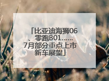 比亚迪海狮06、零跑B01……7月部分重点上市新车展望