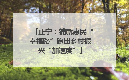 正宁：铺就惠民“幸福路”跑出乡村振兴“加速度”