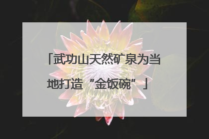 武功山天然矿泉为当地打造“金饭碗”