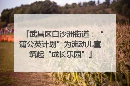 武昌区白沙洲街道：“蒲公英计划”为流动儿童筑起“成长乐园”