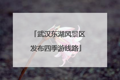 武汉东湖风景区发布四季游线路