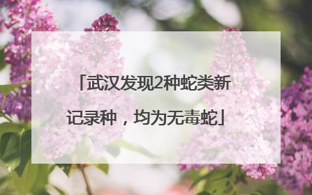 武汉发现2种蛇类新记录种，均为无毒蛇