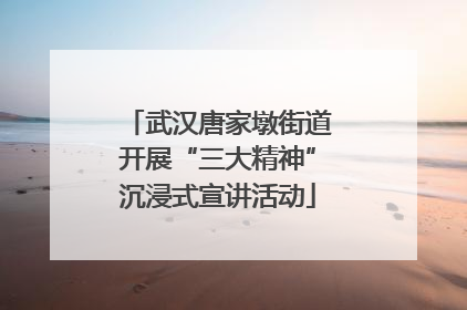 武汉唐家墩街道开展“三大精神”沉浸式宣讲活动