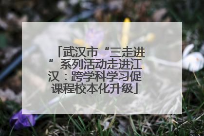 武汉市“三走进”系列活动走进江汉：跨学科学习促课程校本化升级