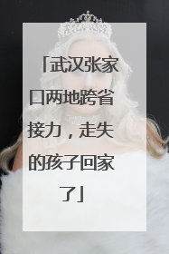 武汉张家口两地跨省接力，走失的孩子回家了