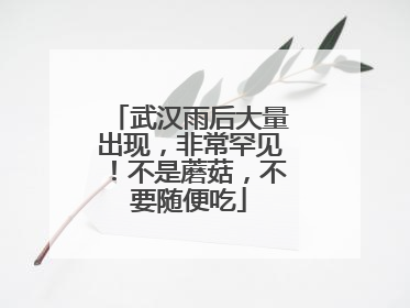 武汉雨后大量出现，非常罕见！不是蘑菇，不要随便吃